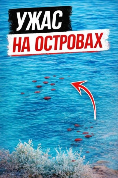 Аудиокнига Смерть у скал