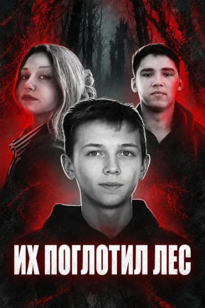 Аудиокнига Исчезнувшие среди глухих лесов